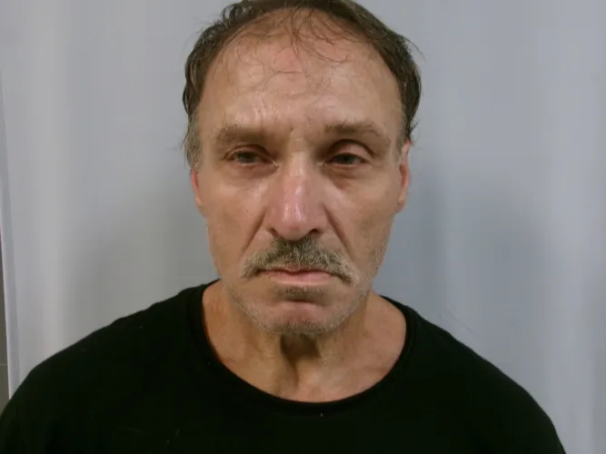 Elkins man facing two felony charges